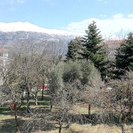 Gks Park View Apartment Ioannina Ngoại thất bức ảnh