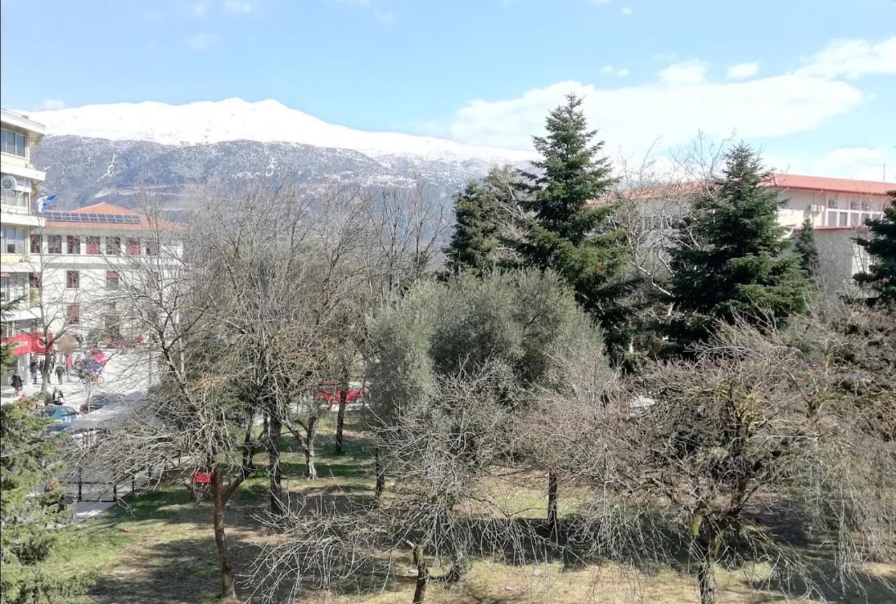 Gks Park View Apartment Ioannina Ngoại thất bức ảnh